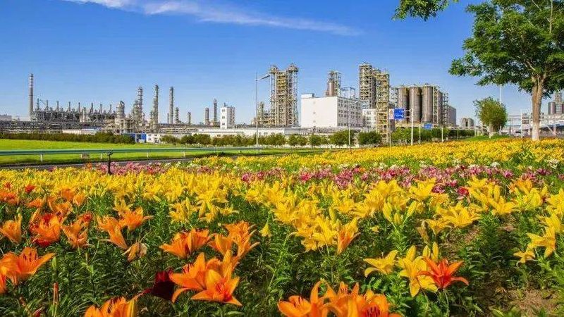 工业添加剂报价单背后的考量因素**